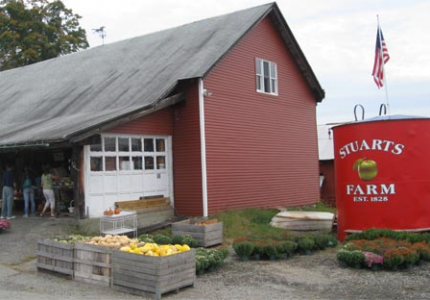 Stuart's Farm