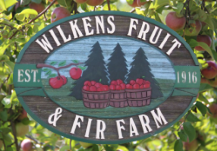Wilkens Fruit & Fir Farm