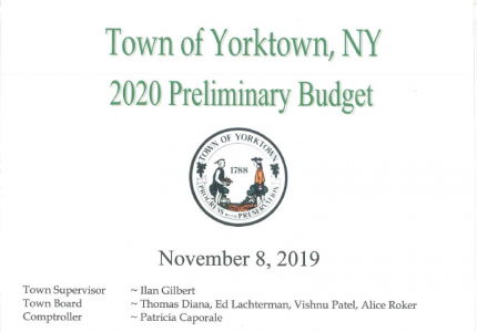 2020 Preliminary Budget
