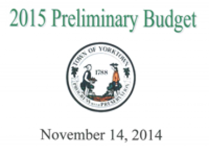 2015 Preliminary Budget