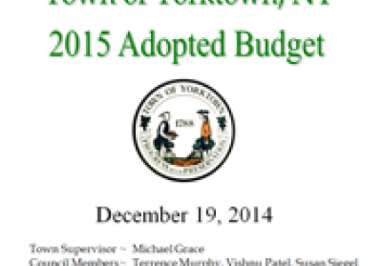 2015 Adopted Budget