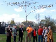 Town Officials Plant Tree in Memory of Lorraine DeSisto