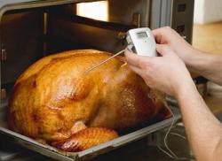 Serve A Great Meal, Not Salmonella This Thanksgiving