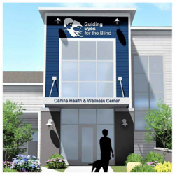 Guiding Eyes for the Blind Proposed New Building on Route 202
