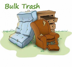 Bulk Trash 