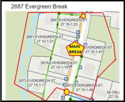 Evergreen Break