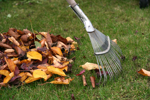 Collection Schedules for Leaf Bags and Tied Branches